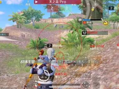 和平精英发卡网